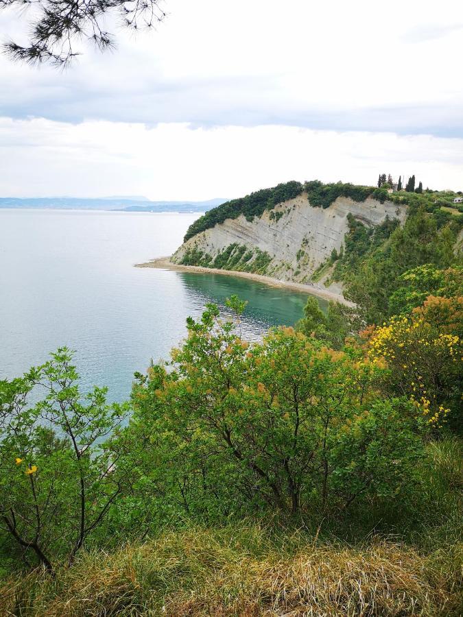 Apartments Zimerman Portorož Eksteriør bilde